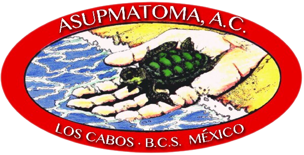 ASUPMATOMA A.C.